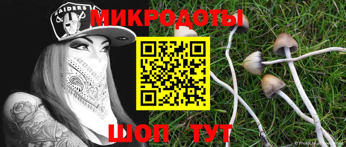 хочу наркоту  Псилоцибиновые грибы мухоморы  Борисоглебск  Вход с VPN  Псилоцибиновые грибы ЛСД 